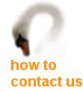 how to contact us